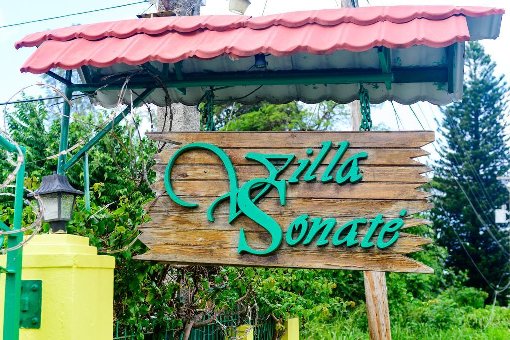 Villa Sonate Runaway Bay Ngoại thất bức ảnh
