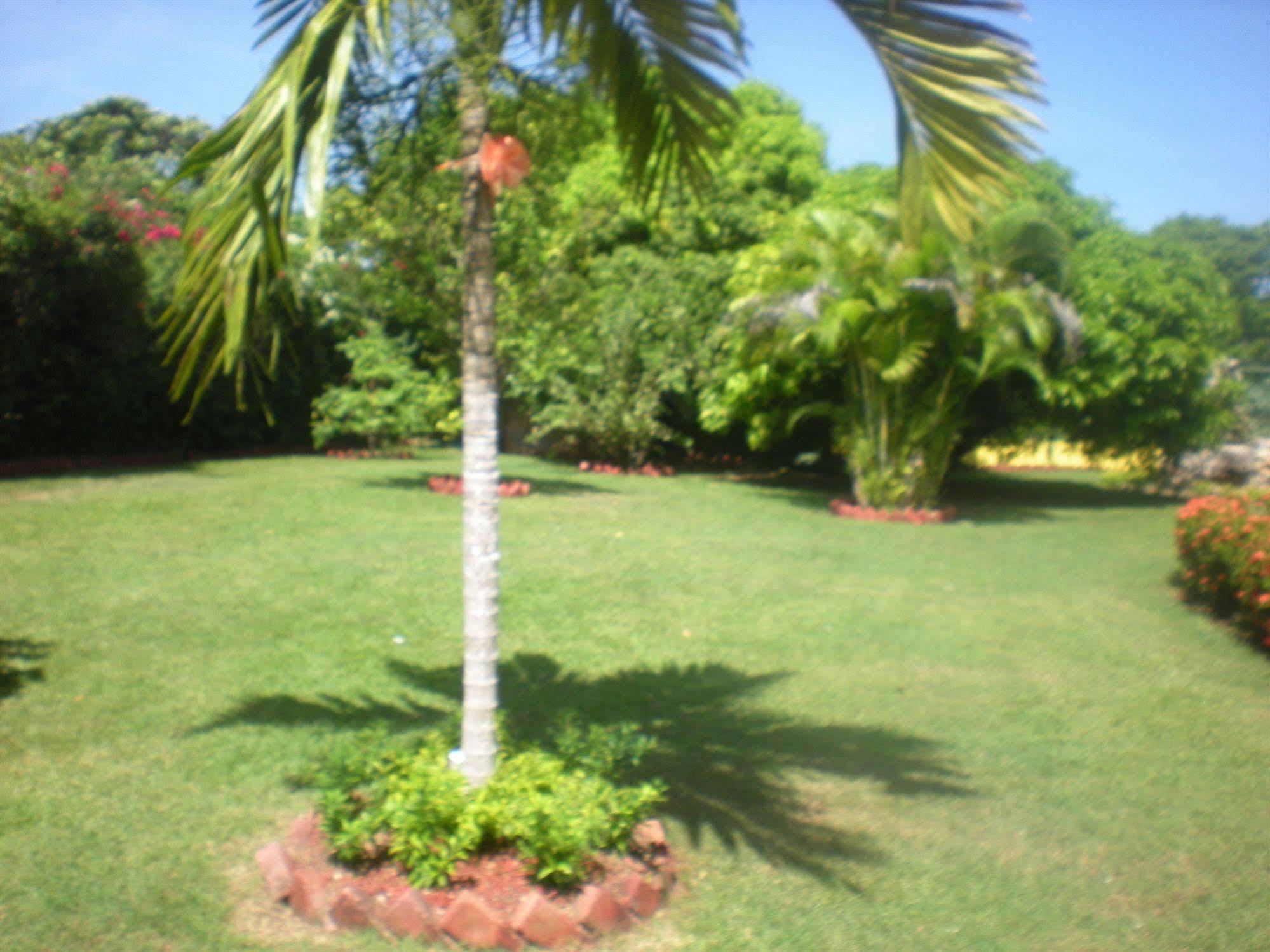 Villa Sonate Runaway Bay Ngoại thất bức ảnh